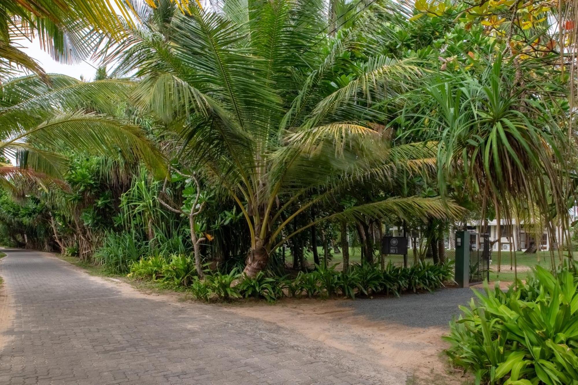 Bentota No 1 Villa Ngoại thất bức ảnh